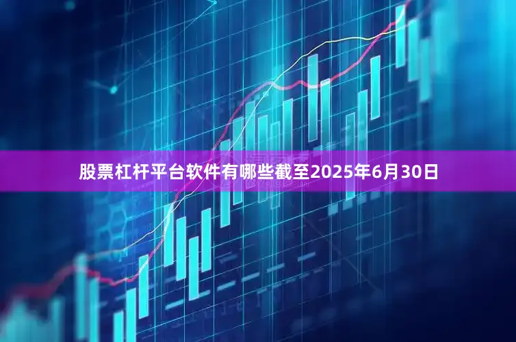 股票杠杆平台软件有哪些截至2025年6月30日