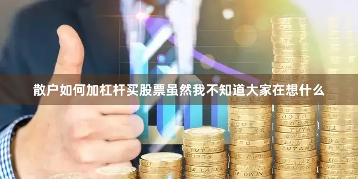 散户如何加杠杆买股票虽然我不知道大家在想什么