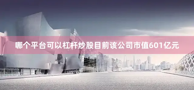 哪个平台可以杠杆炒股目前该公司市值601亿元
